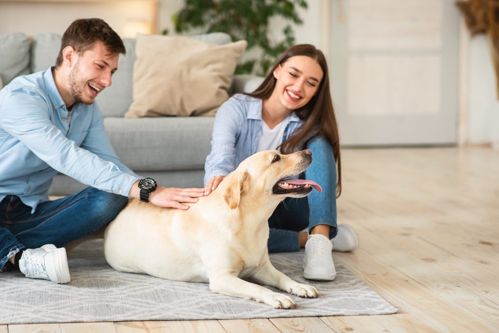 Whole-House Air Cleaners